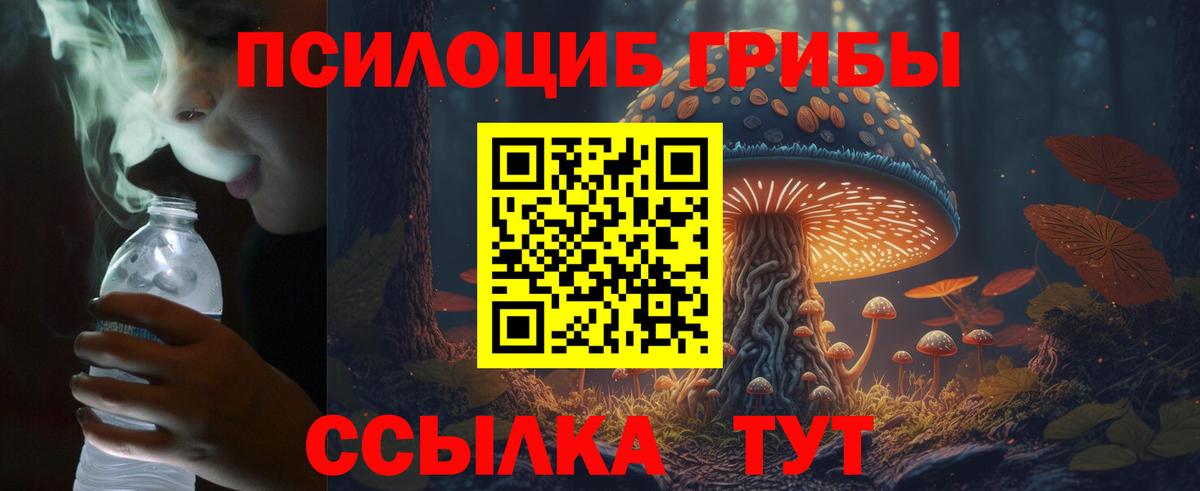 цена   Вход с VPN  Рославль  Галлюциногенные грибы Psilocybine cubensis 